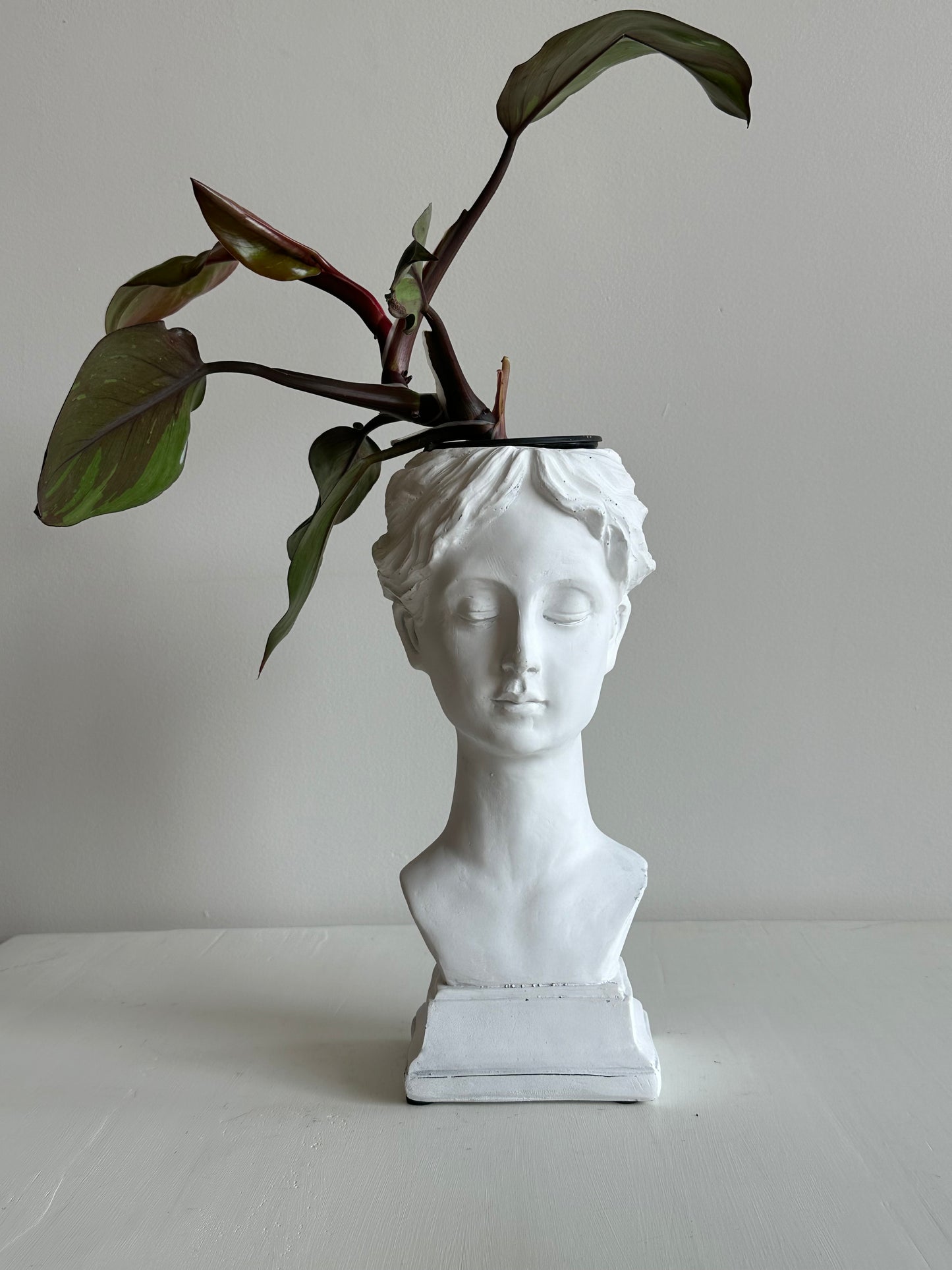 Pretty Lady Bust Planter