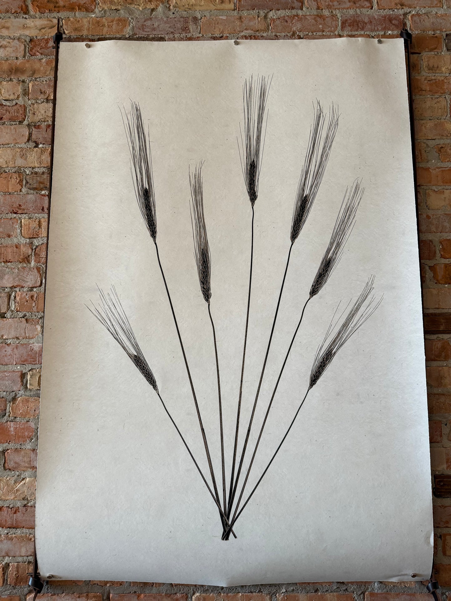Wheat Form 20x30 and Frame Set
