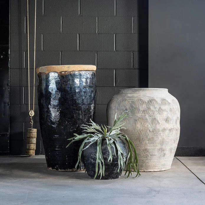 Cunmin Planter