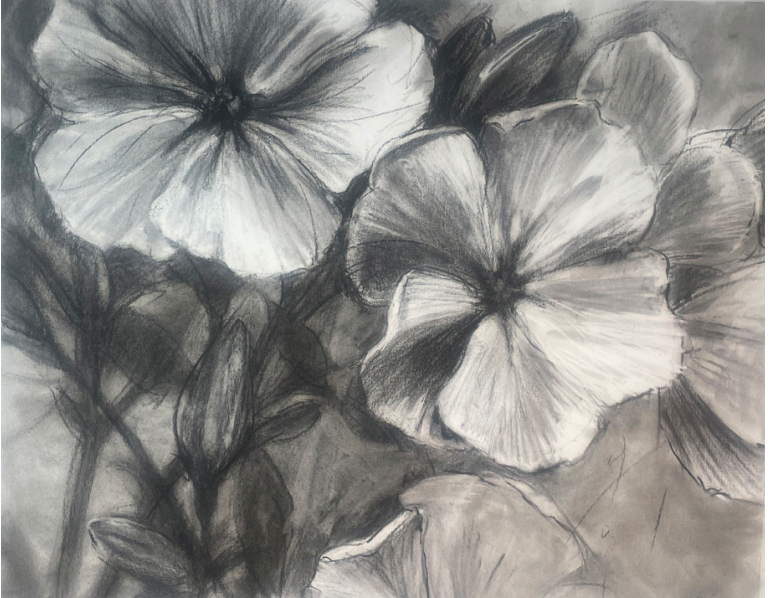 Farm Phlox 32x40 Charcoal