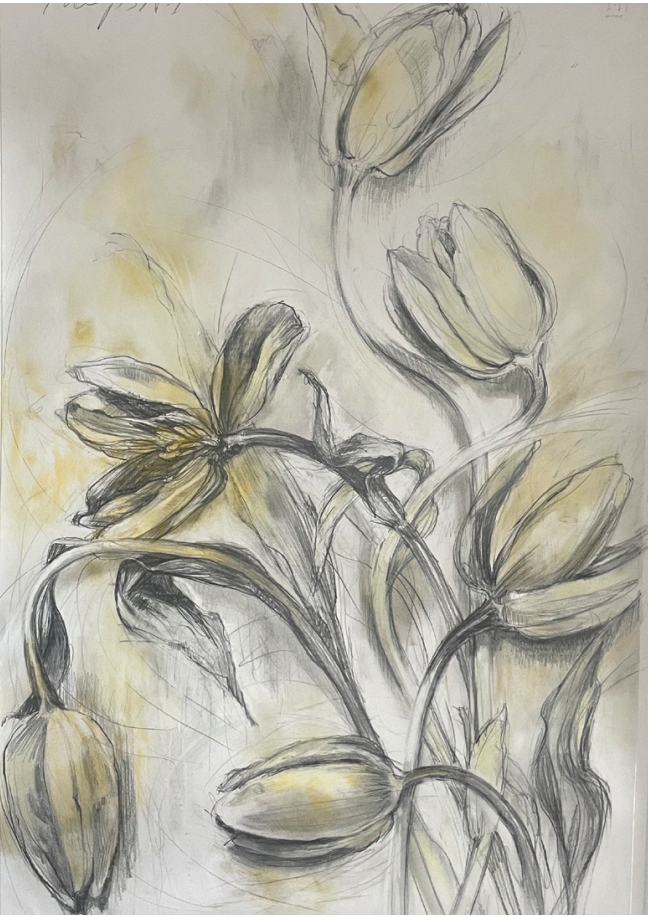 Tulips No. 1 34x52 Watercolor, graphite, pastel