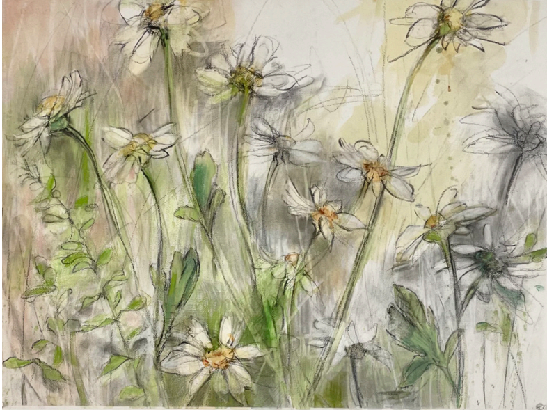 Dasies 23x30 Watercolor, pastel, charcoal