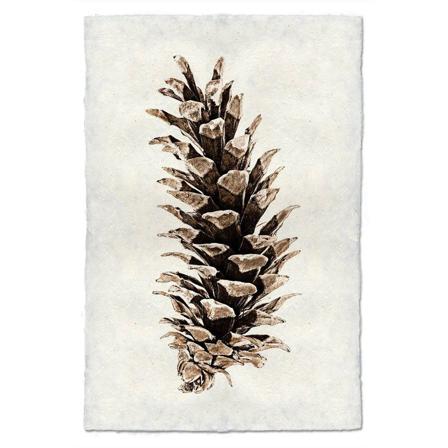 Western White Pine - 9x14