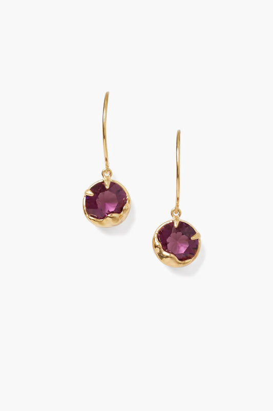 Chan Luu Amethyst Earrings