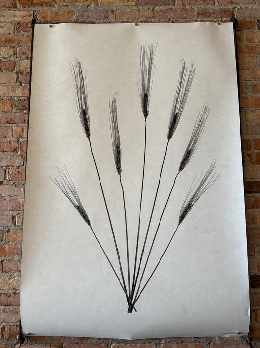 Wheat Form 20x30 and Frame Set