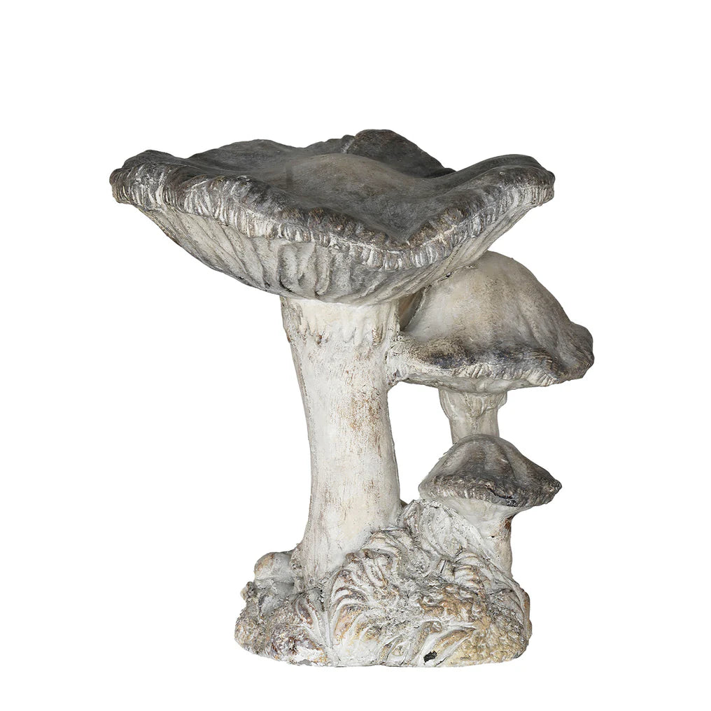 Concrete 3 Cap Mushroom Specimen