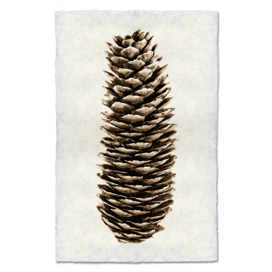 Norway Spruce- 9x14