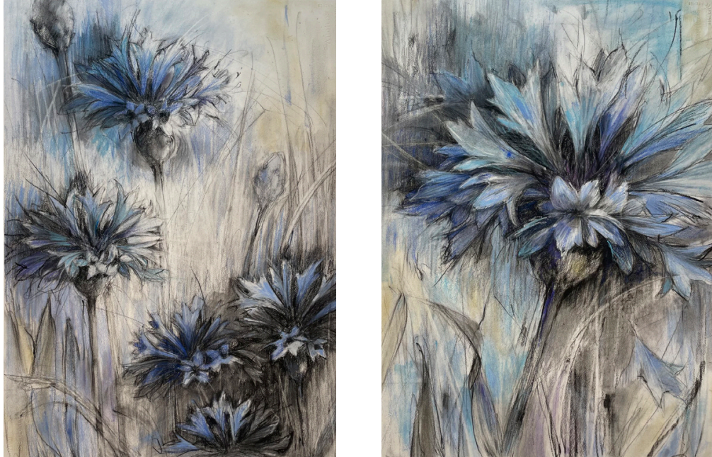 Bachelor Button I and II (pair) 23x30 each Watercolor, charcoal, pastel