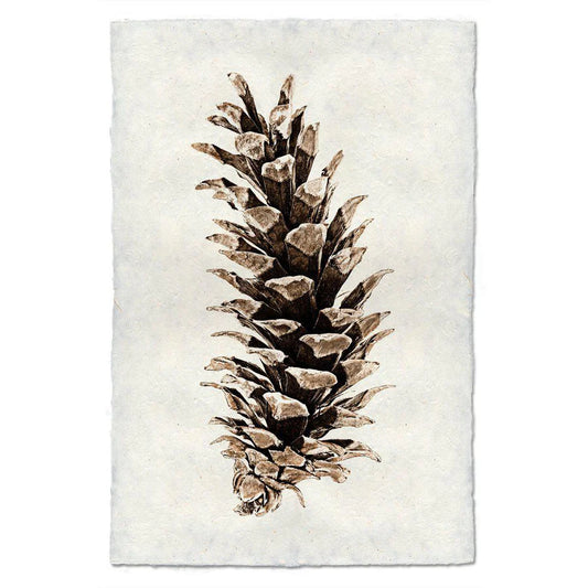 Western  White Pine - 9x14